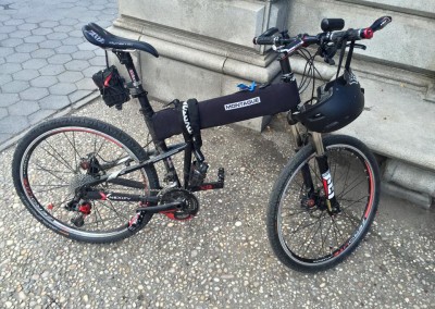 Anthony DeMaria Cusomized Montague X50