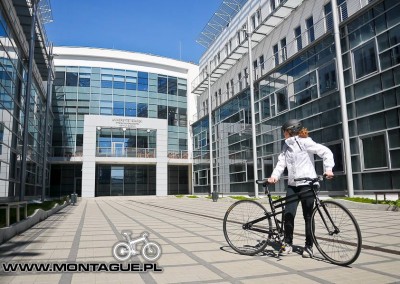 Boston in Gdańsk (Poland) - Montague Polska