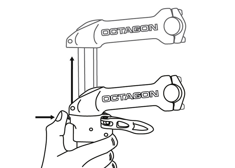 octagon-stem-raising